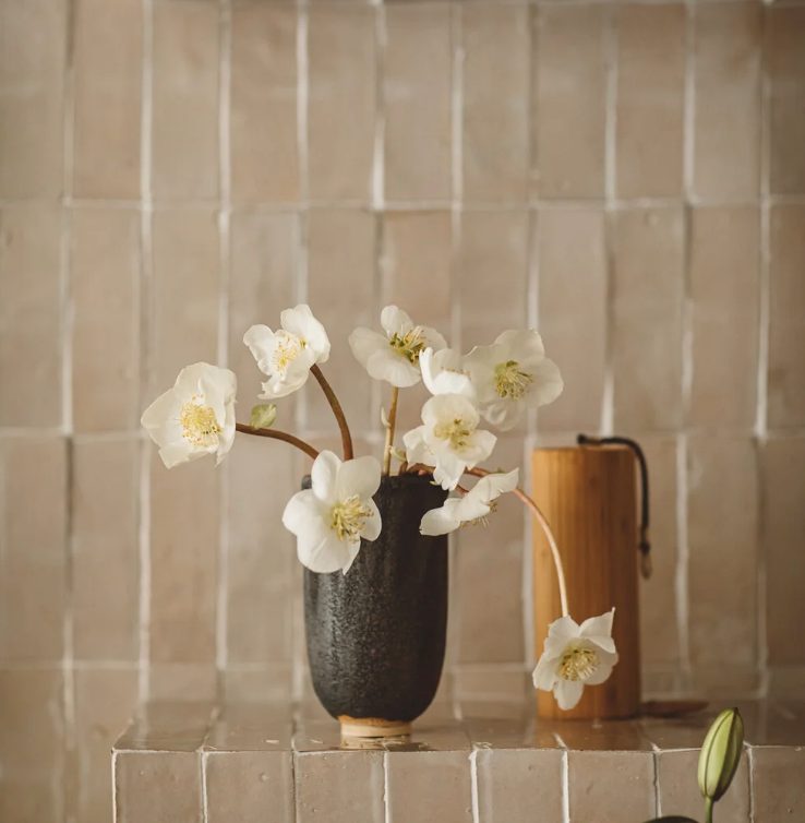 Hellebores in a vase